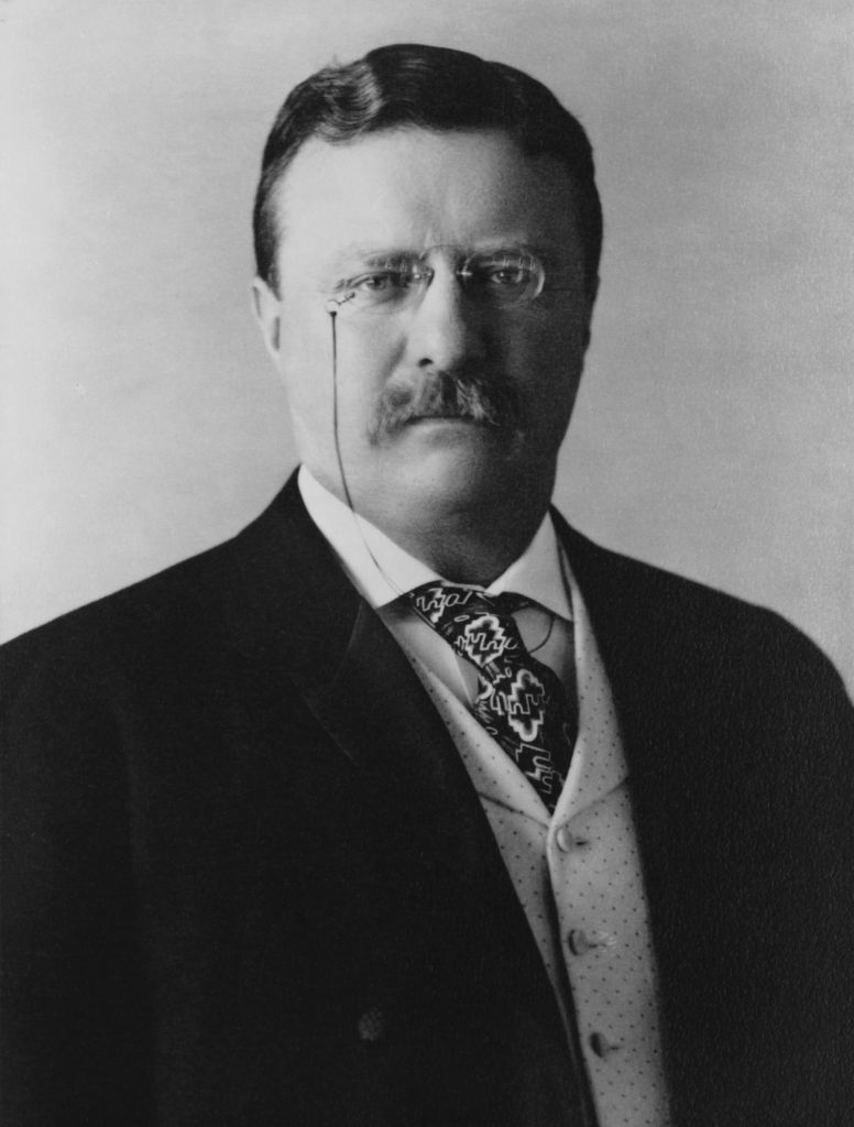 President of the United States Theodore Roosevelt, head-and-shoulders portrait, facing front.