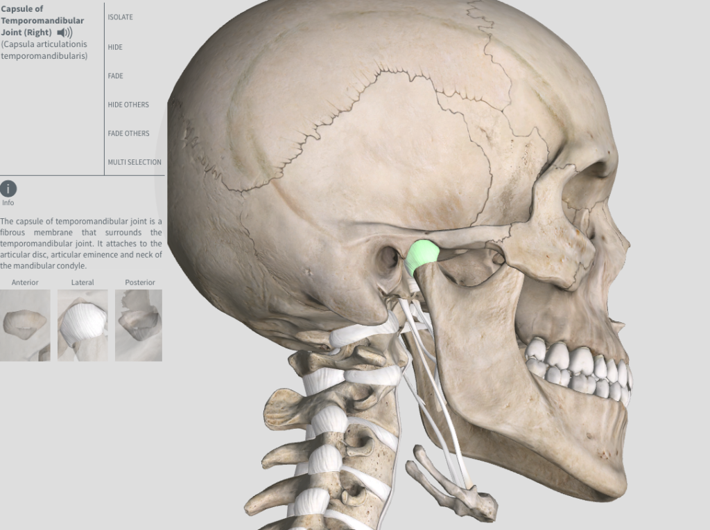 顎関節症と耳鳴りの助けを求めるべきとき